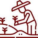 Tradycja w każdym opakowaniu